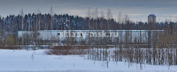 Савелки
